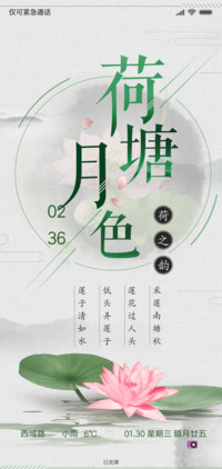 荷塘月色