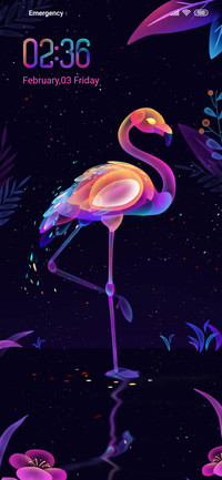 Dazzling Flamingo