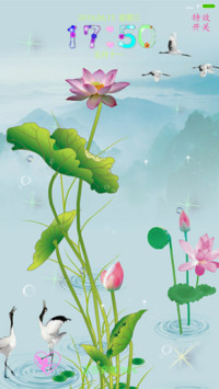 荷花
