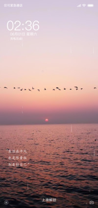 放空未来 网红轮播