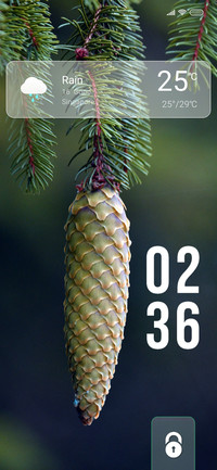 Pine Aurora