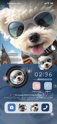Puppy is an pilot