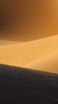 desert