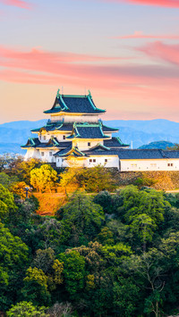 宅家旅行饱眼福