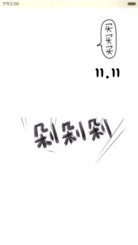 双11买买买