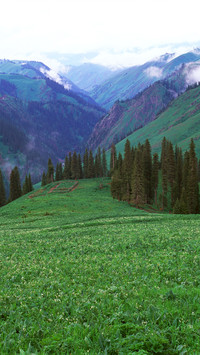 Mongolian grasslands