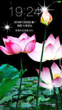 红莲（动态下雨锁屏）