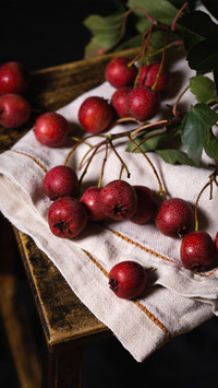 Four Wonderful Uses of Hawthorn You Dont Know 8