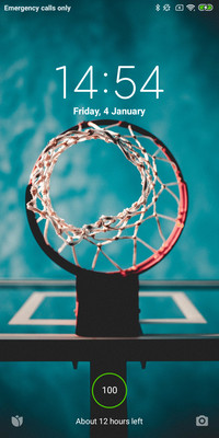 Basketball v10
