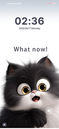 Cute black cat