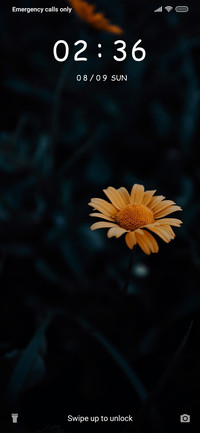 Flower - Blur_3MDS
