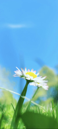 小确幸 多壁纸