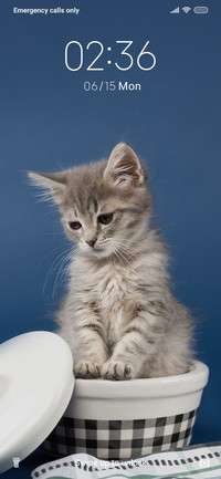 Kitty_3MDS