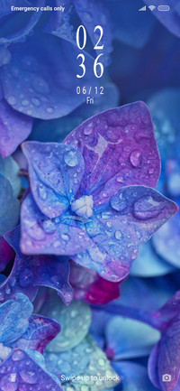 Hydrangea_3MDP