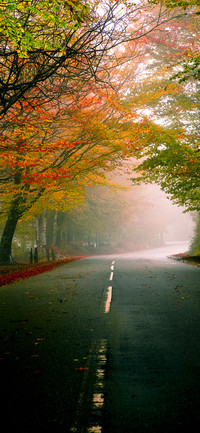 Way of Life-PAIXIN
