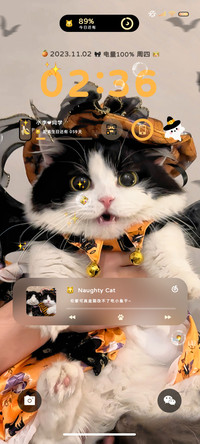 蕾丝猫咪 多换图