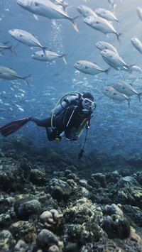 Diver with Fish