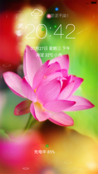 荷（淤泥而不染）