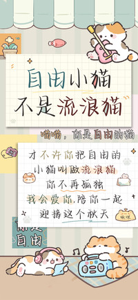 自由小猫不是流浪猫