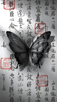古风蝴蝶壁纸-锐景创意