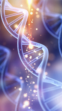 DNA Molecular Structure