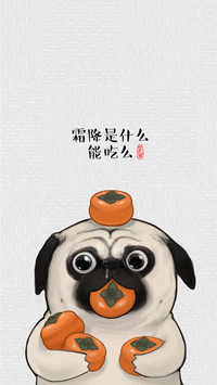 吾皇巴扎黑 (28)