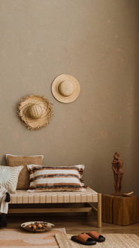 Whole house customization unwritten rules