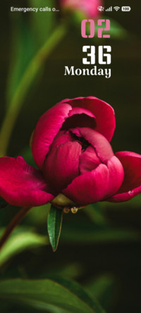 Rosy Touch