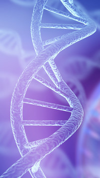 DNA Molecules Structure