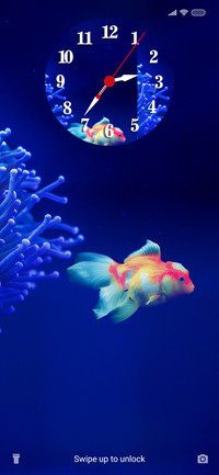 Cute Fish