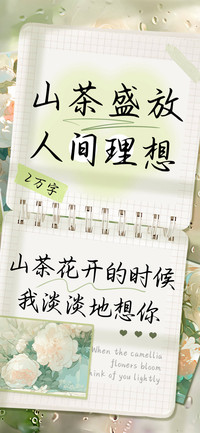 山茶盛放人间理想