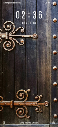 Traditional Door_3MDS