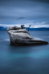 Editor's Choice