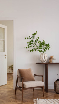 Decoration seven no decoration 2