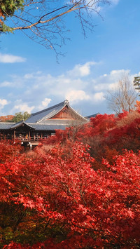 Autumn Scenery On Earth