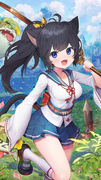 夏天的风