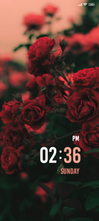 Water Roses