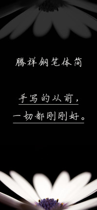 腾祥钢笔体简