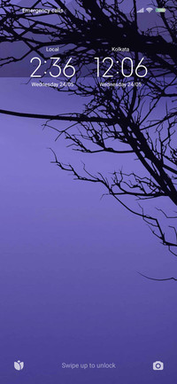  blue sea  trees