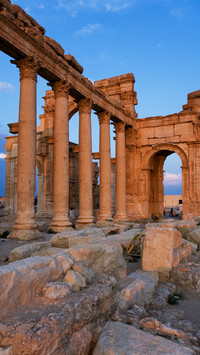 Palmyra  colonnades