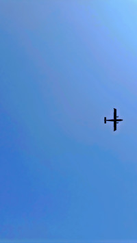 flying alone.png
