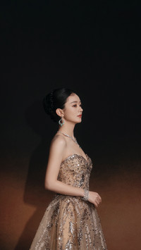 赵丽颖“闪闪发光”