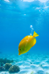 Diving deep.jpg