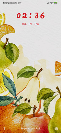 Exotic fruits_3mdp