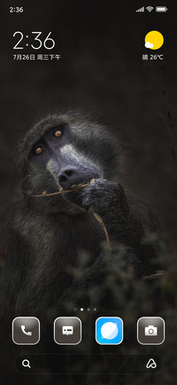 Capuchin