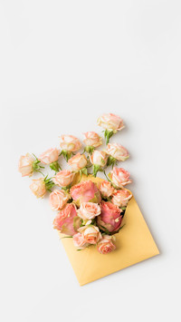 A Letter from Spring