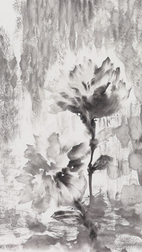 倾听花语