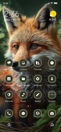 Foxy Grove