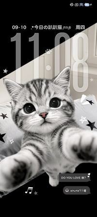 重感 猪咪突击