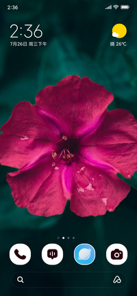 Dew Petals